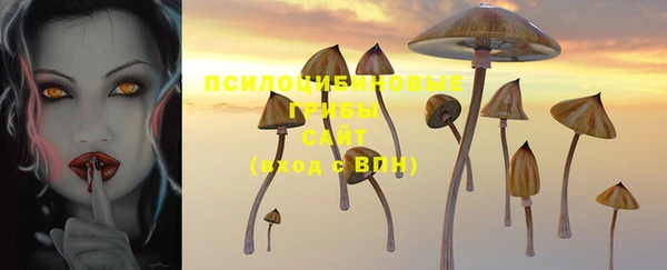 круглые Аркадак