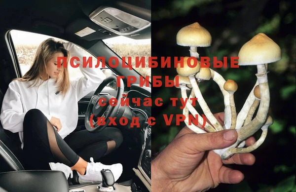 стаф Армянск