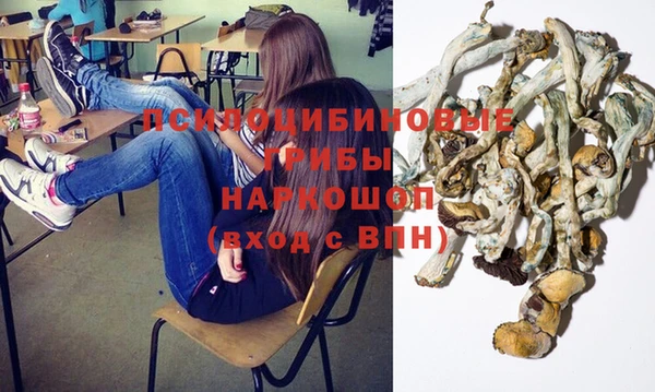 стаф Балахна